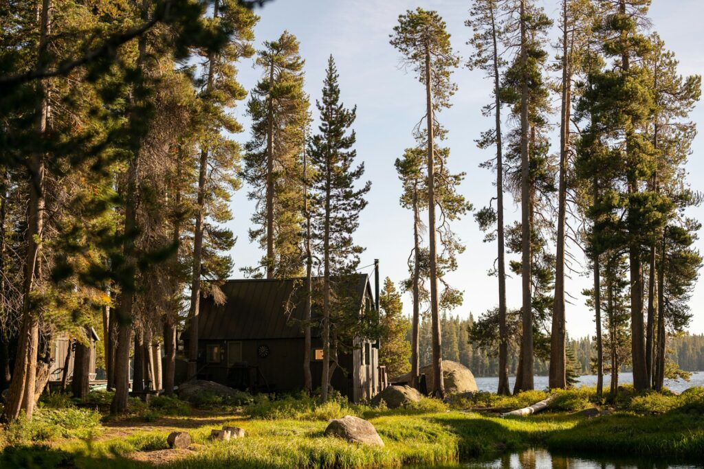 Lakefront cabin